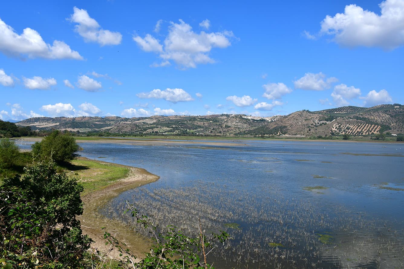 Verrà presentata la Guida Naturalistica Multimediale delle Riserve del Lago di Tarsia e della Foce del fiume Crati
