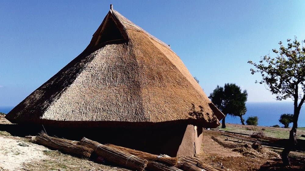 Valorizzazione Parco Archeologico di Sibari e Parco di Broglio: Trebisacce aderisce all'accordo
