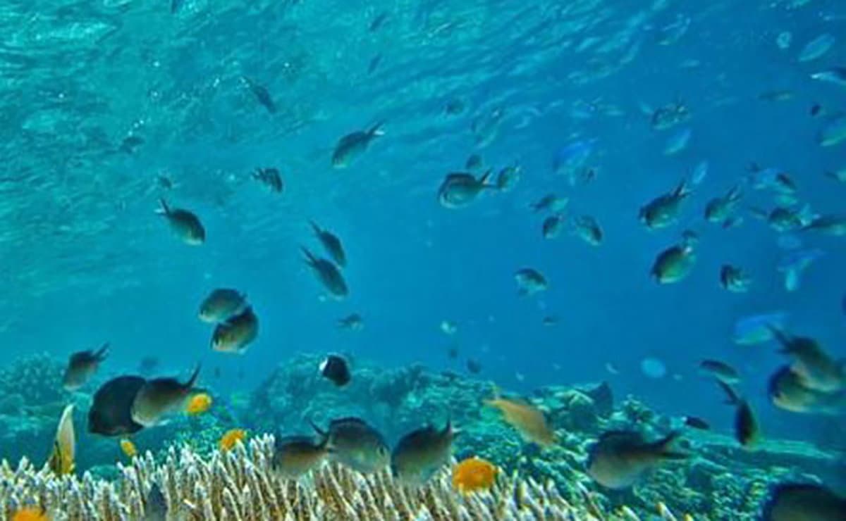 Aree protette e biodiversità, «un'attenzione speciale per la valorizzazione del patrimonio naturalistico»