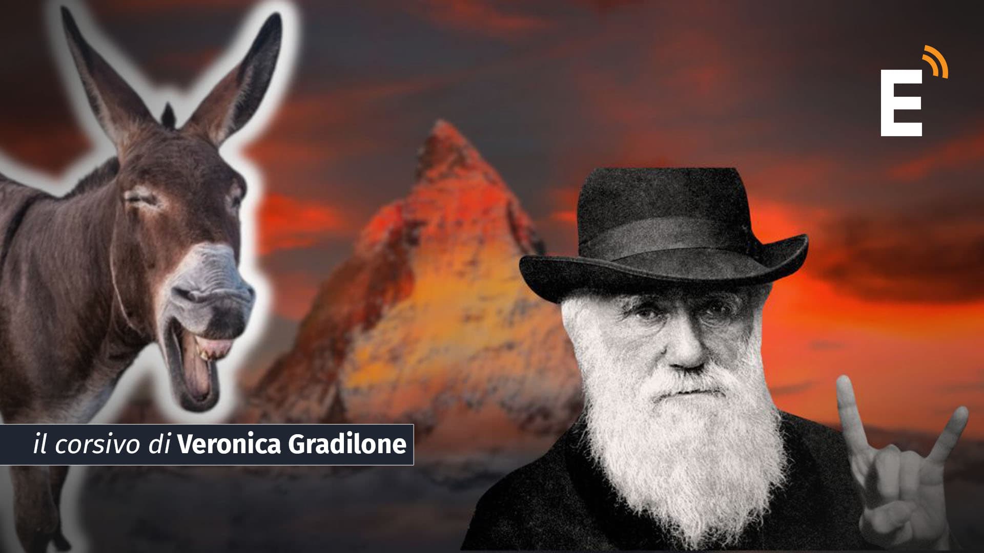 Il “monte della stupidità” e la corsa contro il tempo per non inciampare nell’effetto Dunning-Kruger