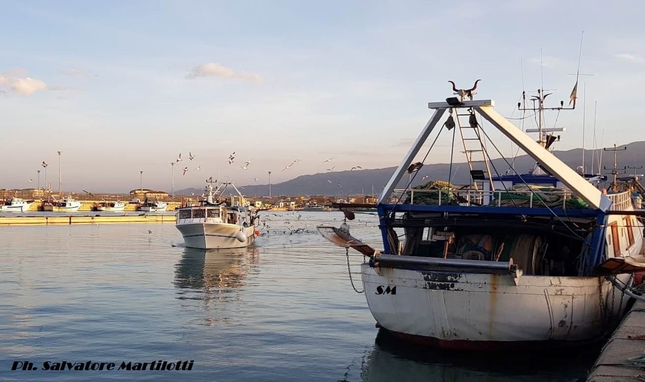 Settore pesca in Calabria: al via il decreto per il fermo obbligatorio 2023