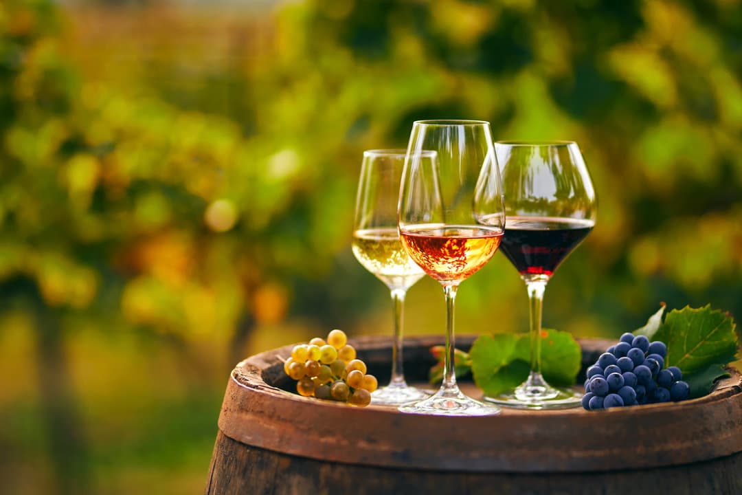 Torna l'evento enoturistico "Cantine Aperte": in Calabria 14 aziende partecipanti