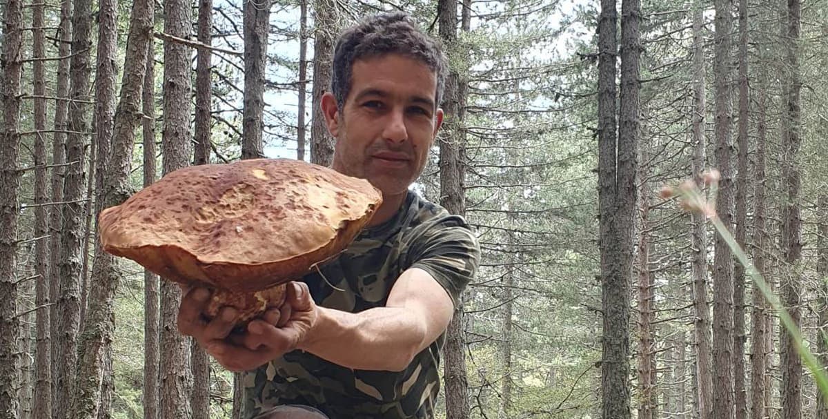"Inciampare" su un porcino di oltre due kg: succede in Sila, regno indiscusso del Re dei funghi