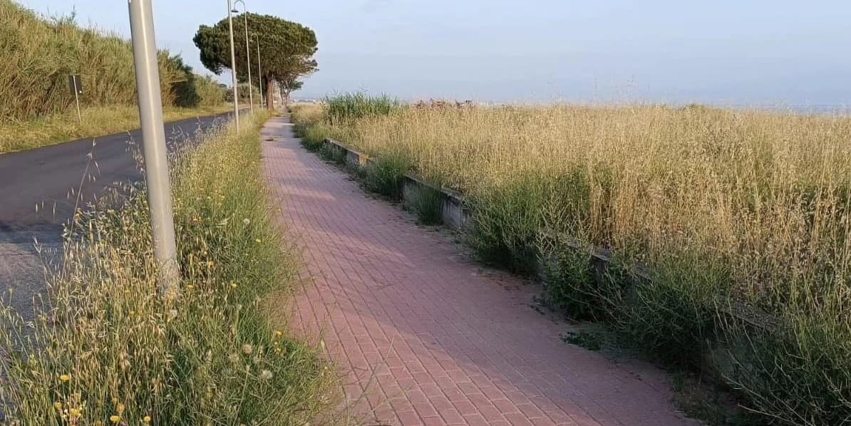 Schiavonea e Lido Sant’Angelo, Fratelli d’Italia: «Nessun intervento in 4 anni»