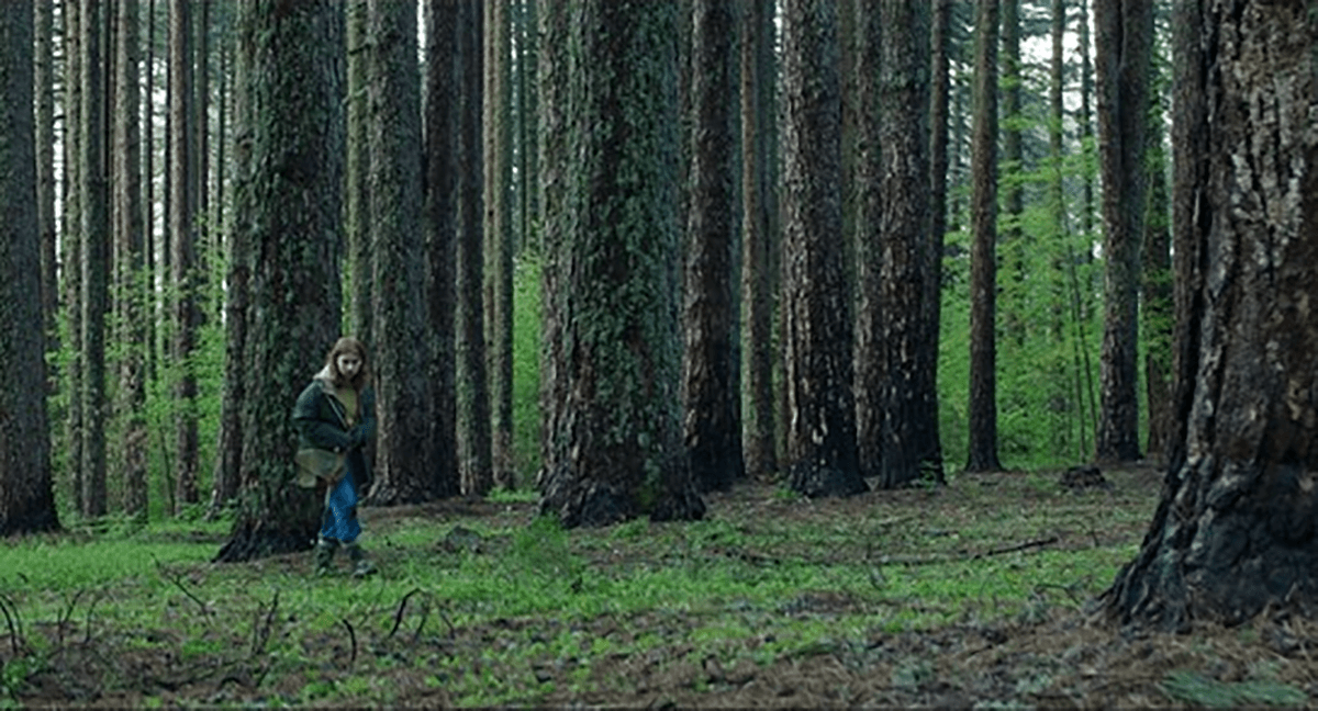 Il paesaggio della Sila diventa set cinematografico del film horror psicologico "Home Education"