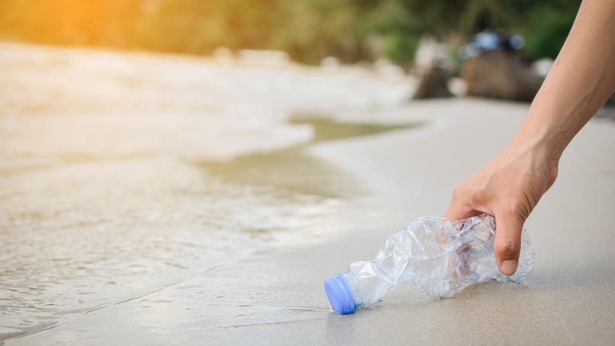 Mandatoriccio, tutto pronto per la passeggiata ecologica