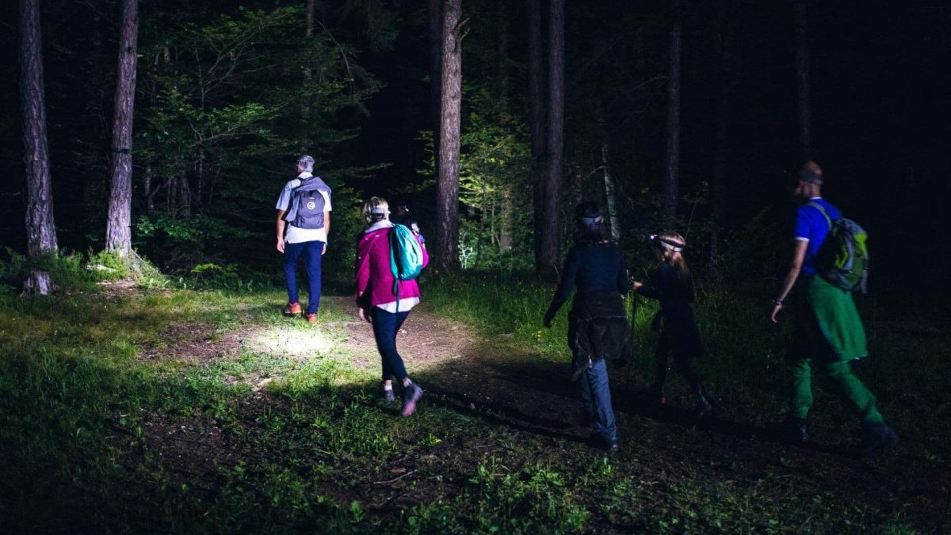 A Co-Ro ritorna la IX edizione di "Bosco in Musica" tra musica e natura