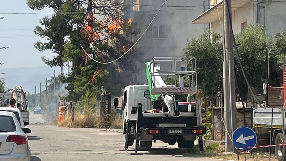 Un pino va a fuoco e minaccia una palazzina, paura in via Olanda nel centro urbano di Crosia Mirto
