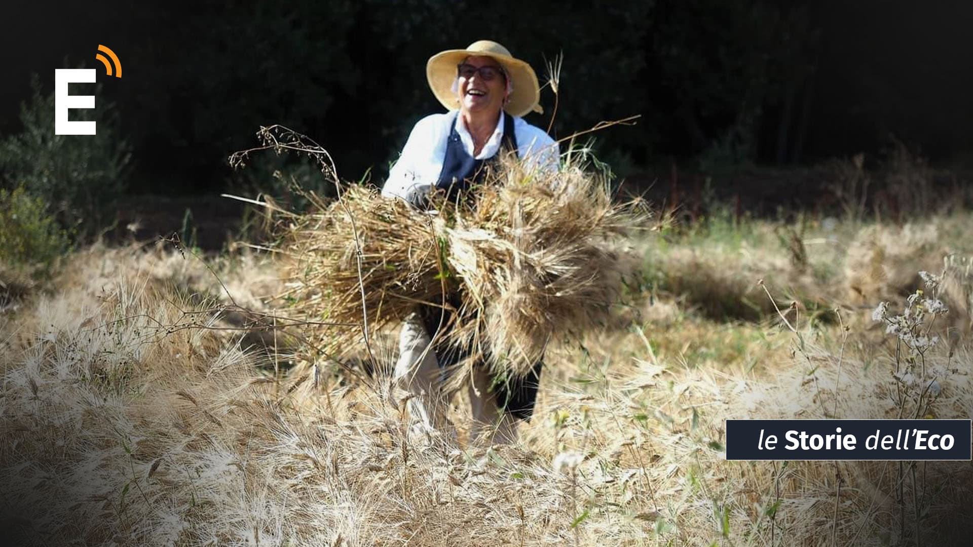 Nella Sila Greca è tempo di mietitura a mano... proprio come nel passato