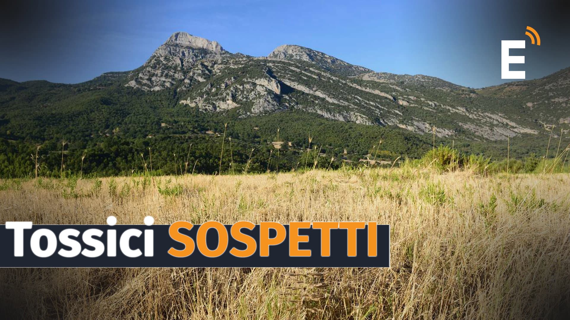 «Terreni avvelenati dalla mano dell’uomo per decimare la popolazione»