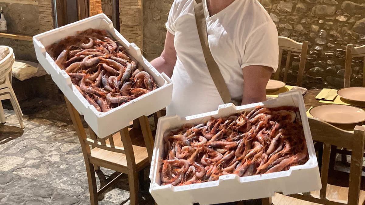 'A Cantina di Cariati propone gambero viola con fichi e balli sulle note di Emilio Spataro