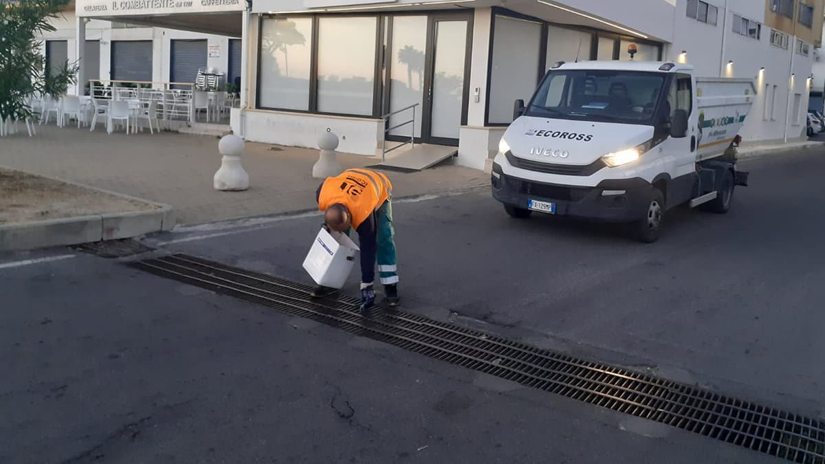 Terminato il nuovo ciclo di derattizzazione sull'intero territorio comunale