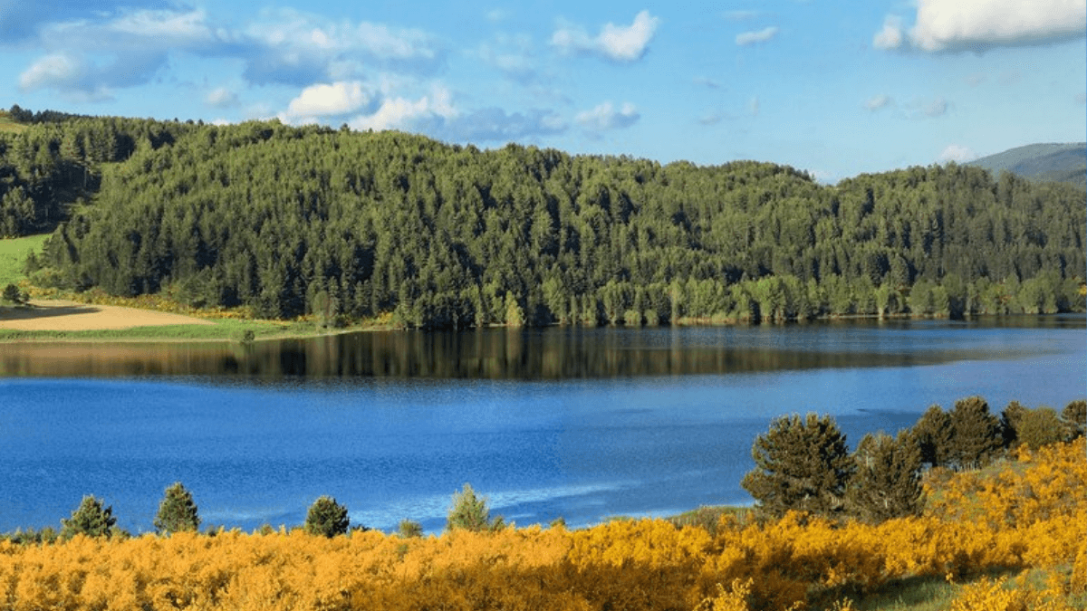 Il Parco Nazionale della Sila presente all'evento mondiale "World Tourism Event 2023"