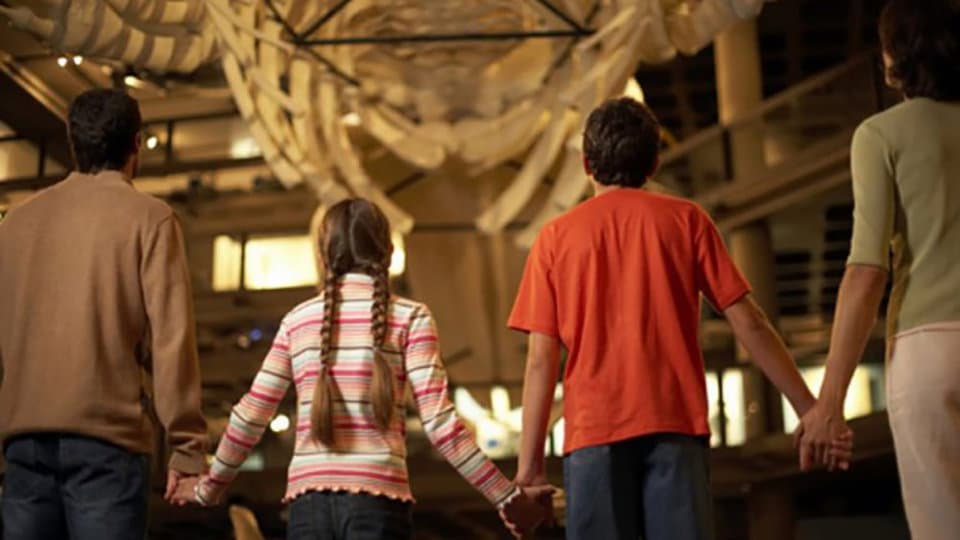 Al Museo Civico di Paludi arriva "F@mu, Famiglie al Museo" edizione 2023