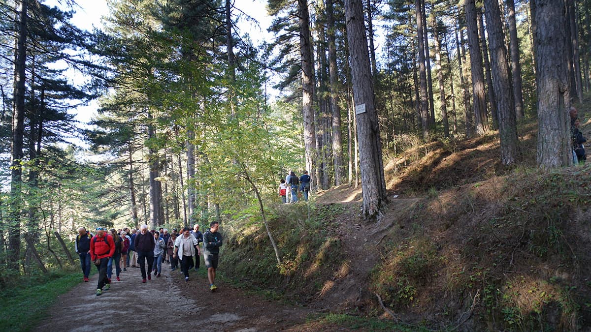 "La montagna per tutte le stagioni": 26 buyers, giornalisti ed operatori del turismo nazionale alla scoperta della Sila