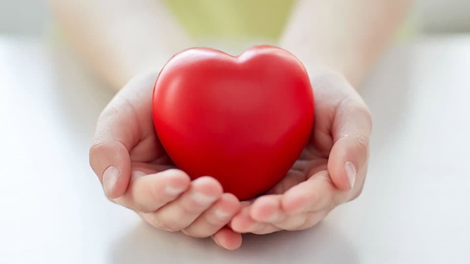 Crosia promuove l'iniziativa "La Cardio-protezione a servizio della comunità"