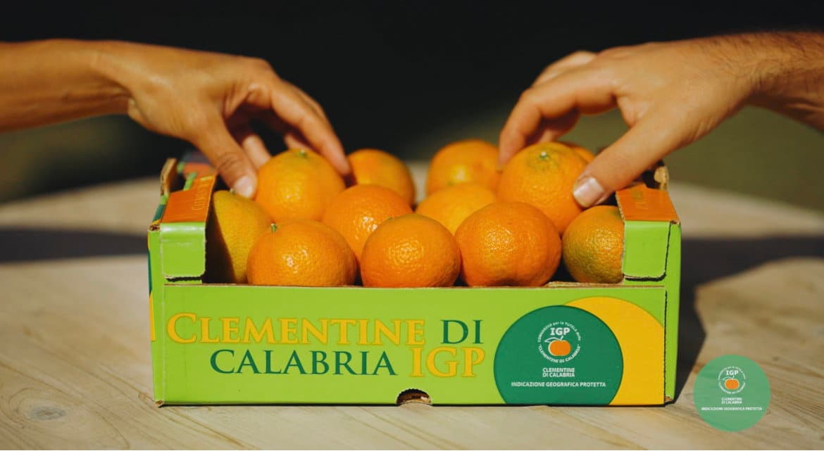 Uno spot Rai celebrerà le clementine IGP di Calabria