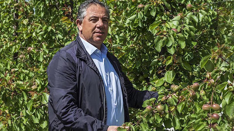Il Co-Presidente della "Corigliano Volley" Natalino Gallo tra le eccellenze italiane premiate a Roma