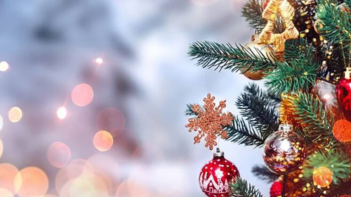Un programma ricco di eventi a Spezzano Albanese con "Natale Insieme 2023"