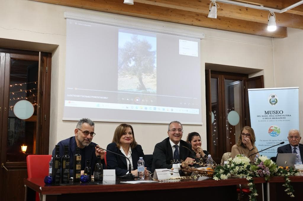 Extravergine d’oliva calabrese, necessario parlare di piano olivicolo regionale