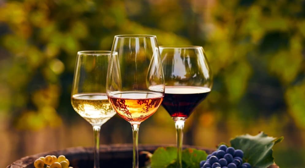 Laino Borgo, piazza Navarro si trasformerà in un grande salone del vino