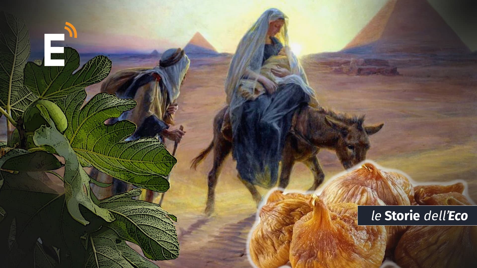 Un'antica leggenda sui fichi lega la Famiglia di Nazareth alla Calabria