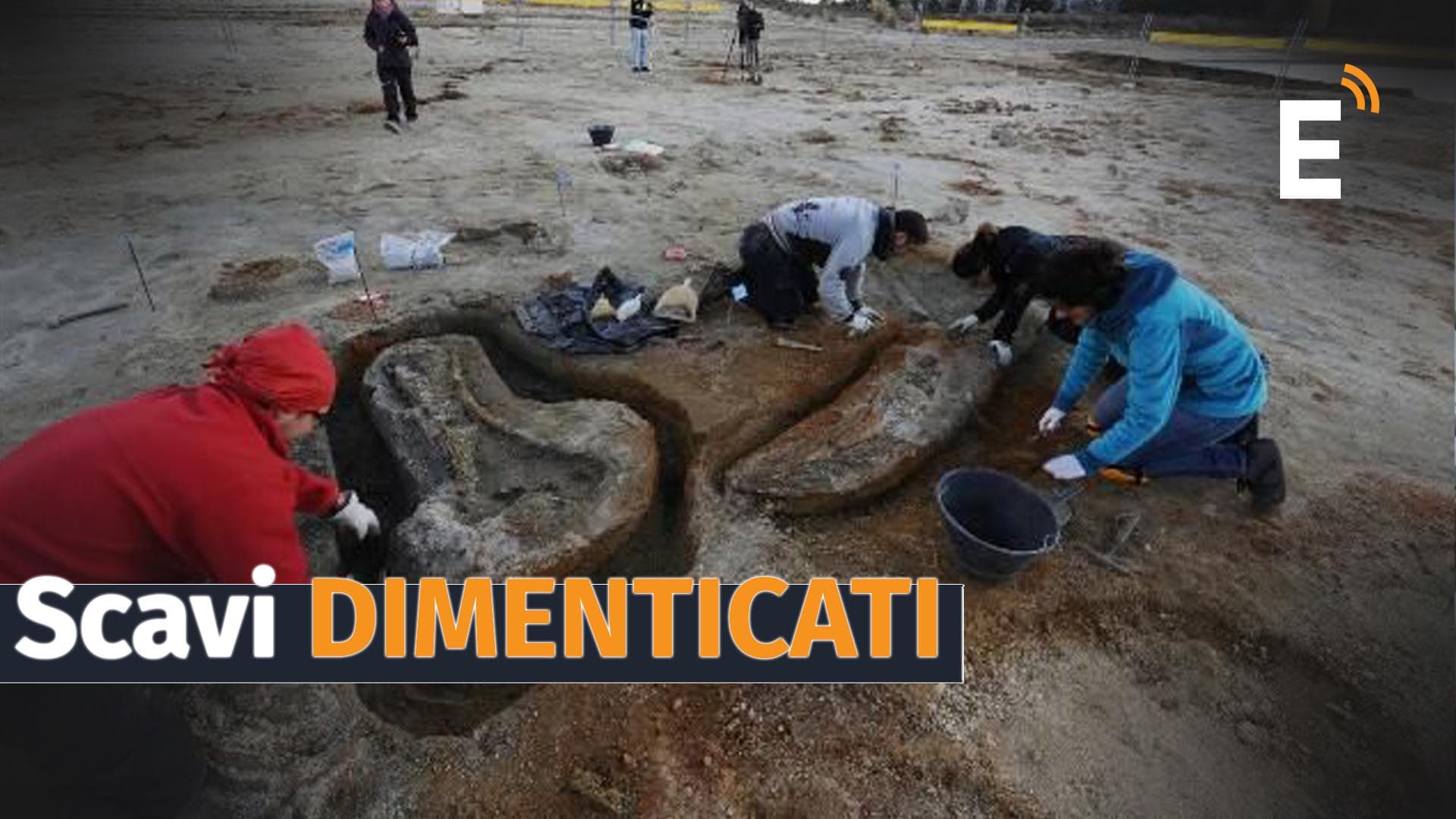 Che fine ha fatto l'Elephas Antiquus del Cecita? Storie dimenticate che potrebbero riscrivere la storia della Calabria