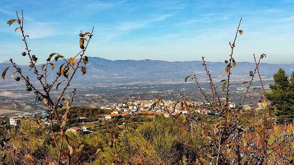 Risorse per i comuni marginali, Vaccarizzo Albanese pubblica un nuovo bando