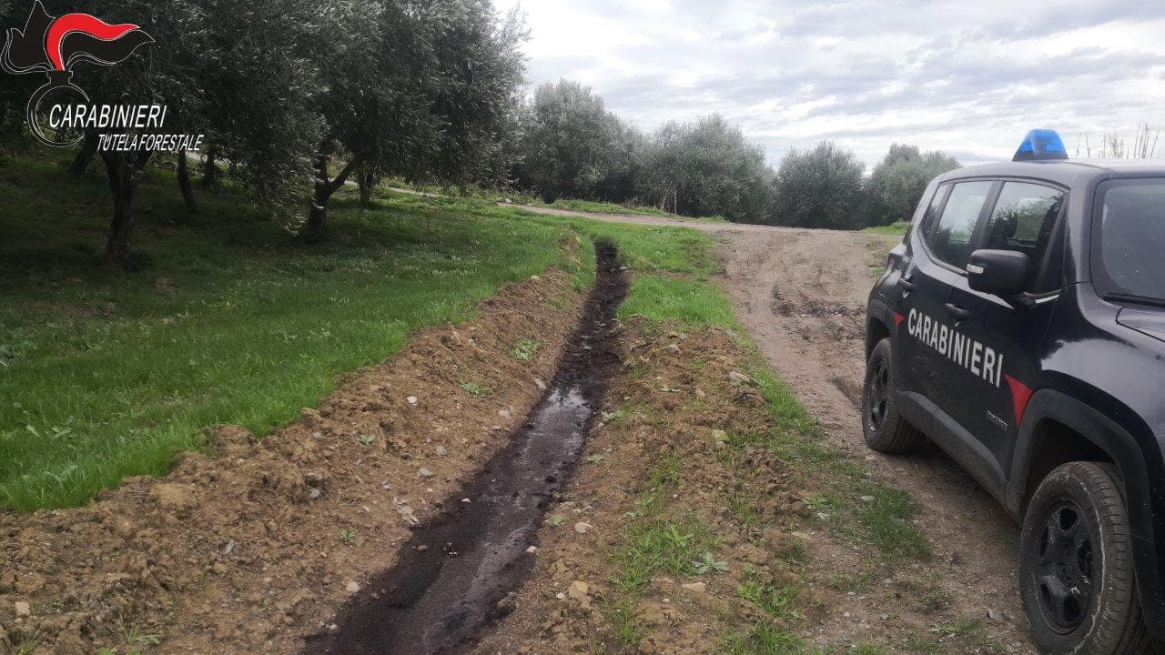 Scaricava reflui nel fiume Nicà, sigilli ad un frantoio di Terravecchia