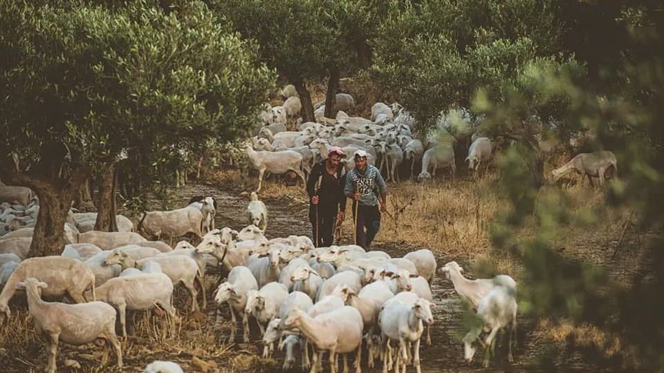 A Campana parte il progetto Pastori Custodi delle Terre Jonico Silane