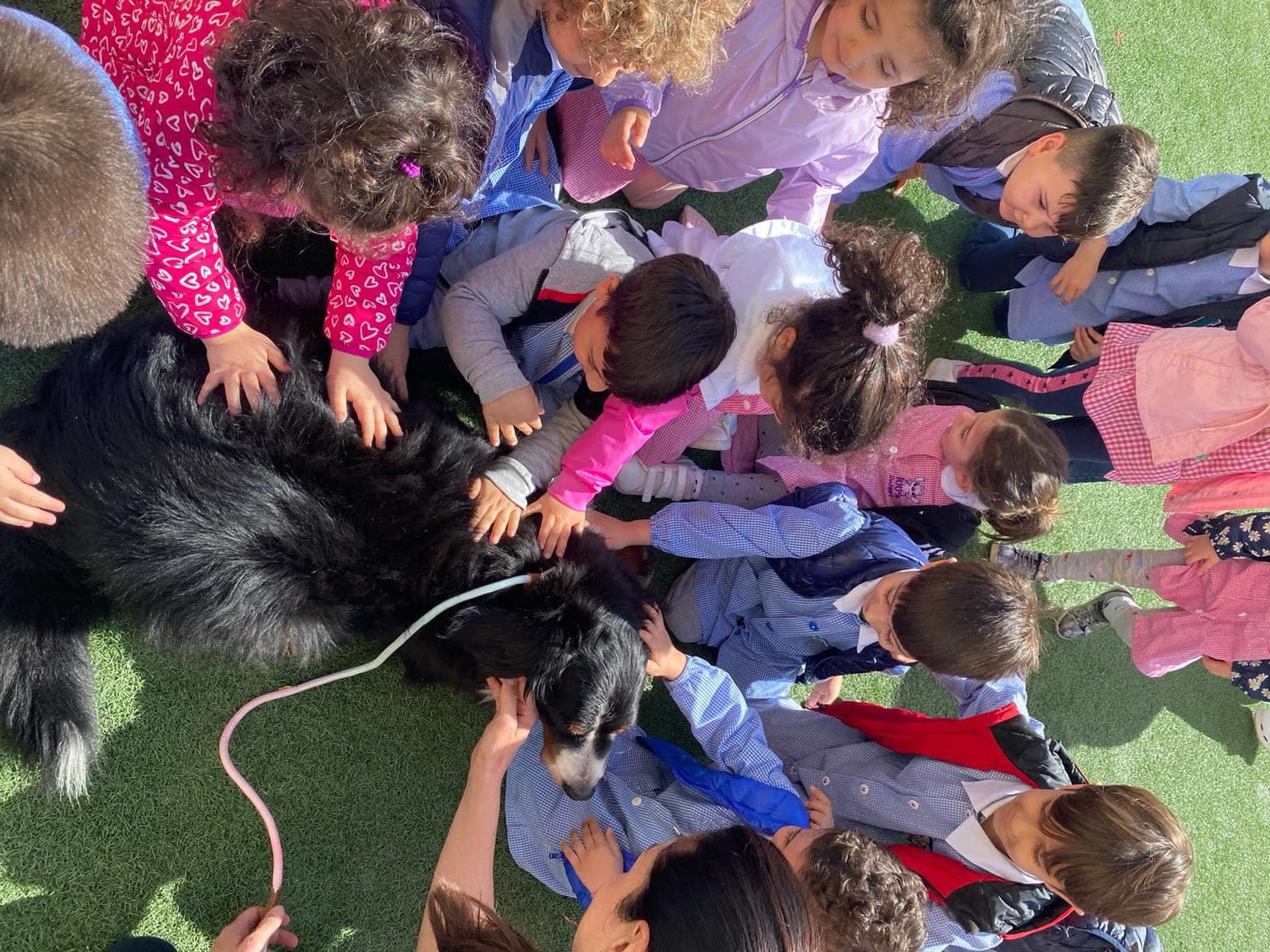 Al Polo Infanzia Magnolia parte il progetto di prevenzione contro l'abbandono degli animali