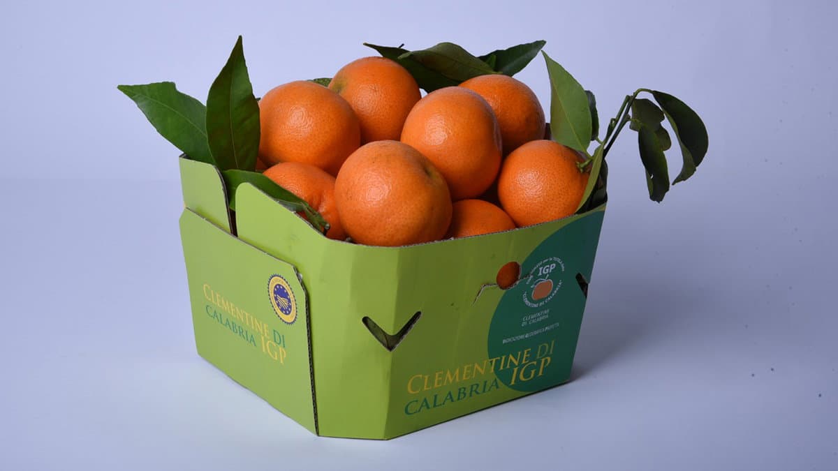 Il Consorzio Igp Calabria al Macfrut 2024 di Rimini con le Clementine