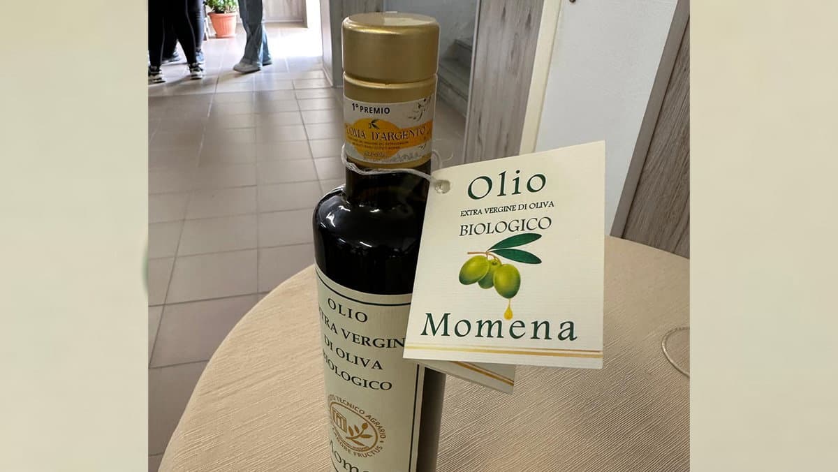 L'extravergine "Momena" del Majorana è campione d'Italia
