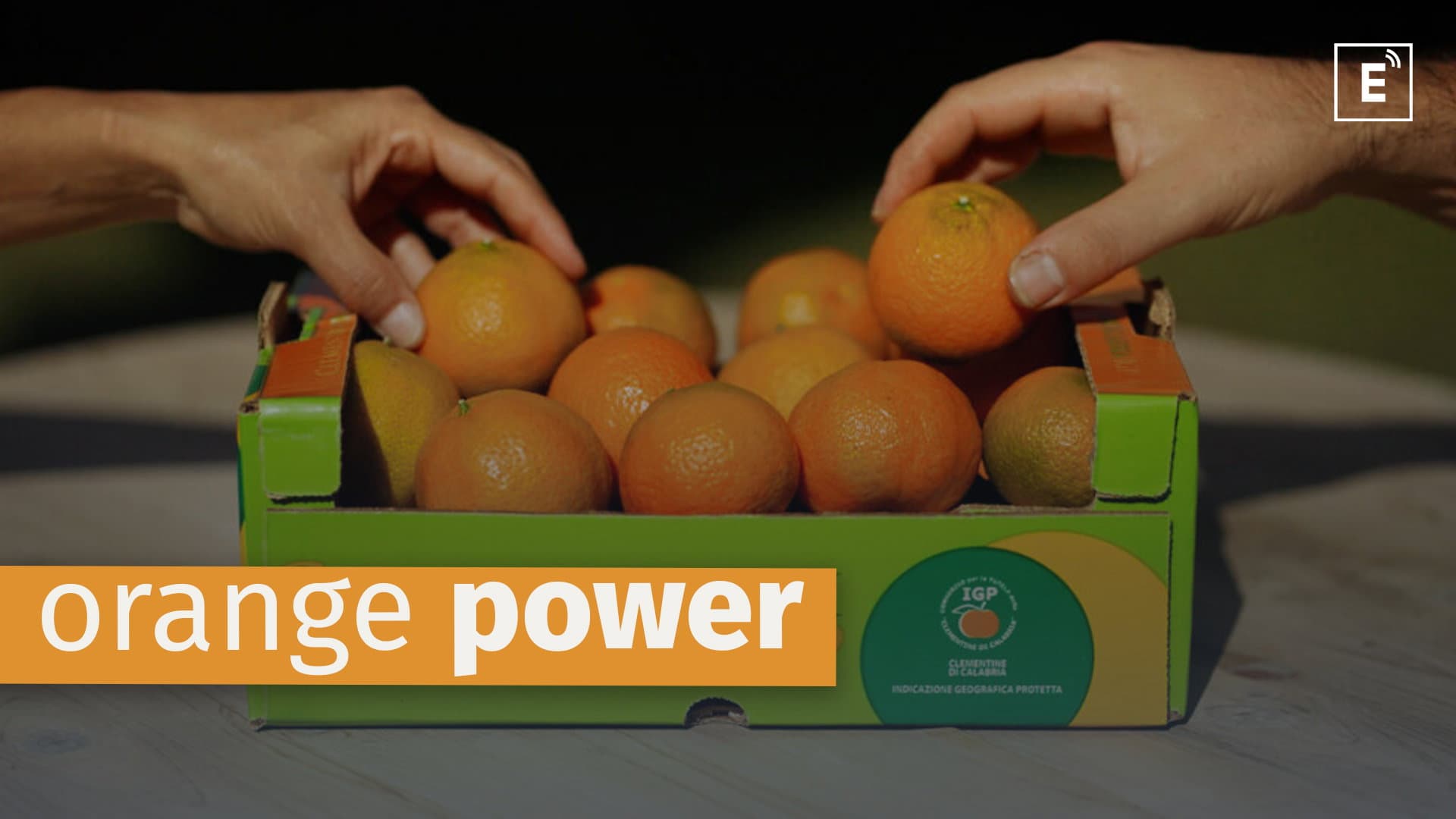 Approvato il nuovo disciplinare di produzione per le Clementine di Calabria Igp