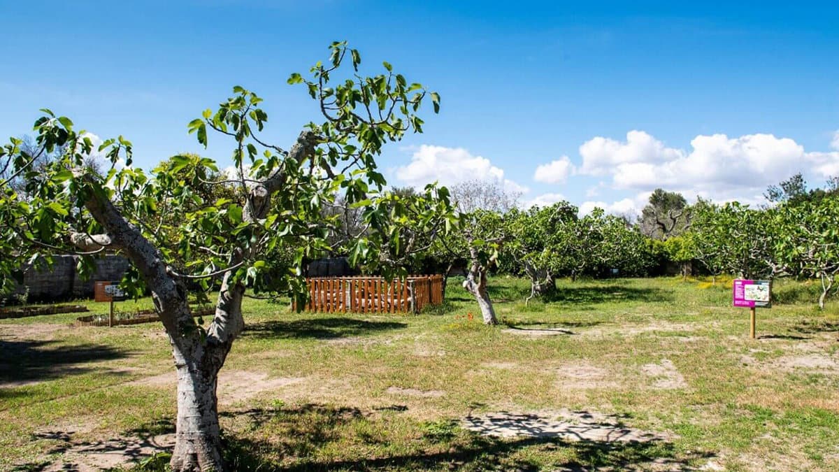 Il Wwf Co-Ro inaugura l'Aula Natura "Giardino delle Farfalle" nella scuola di contrada Amica