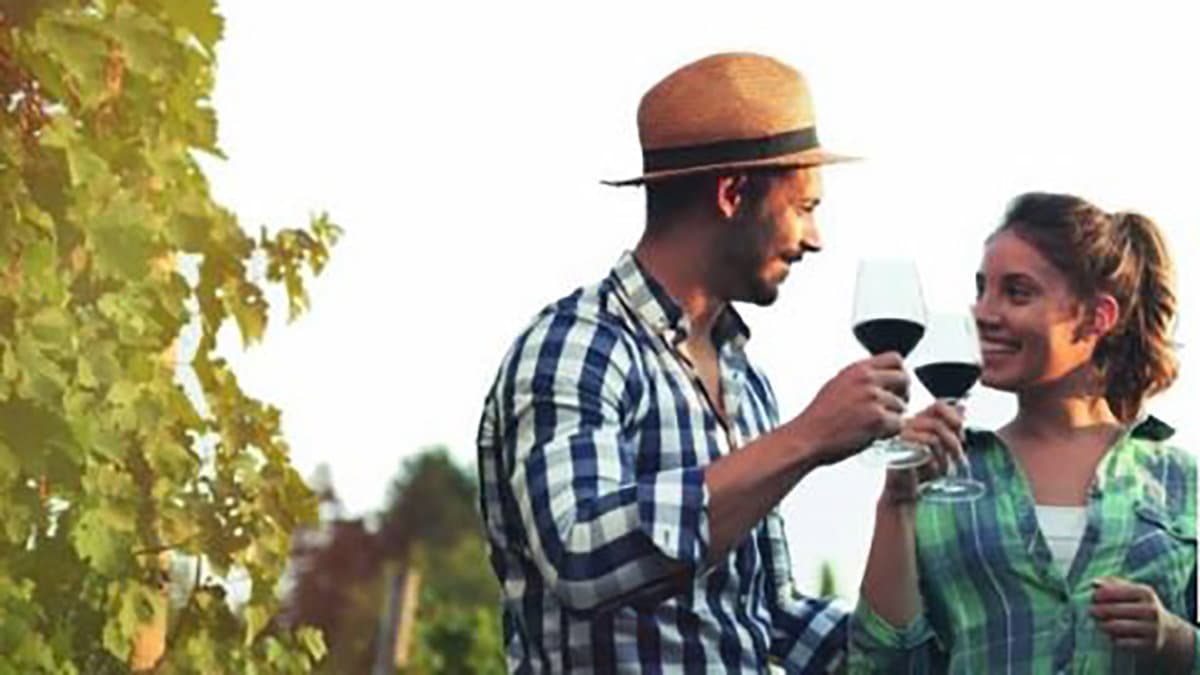 Il Movimento Turismo del Vino presenta l'edizione 2024 di "Cantine aperte"