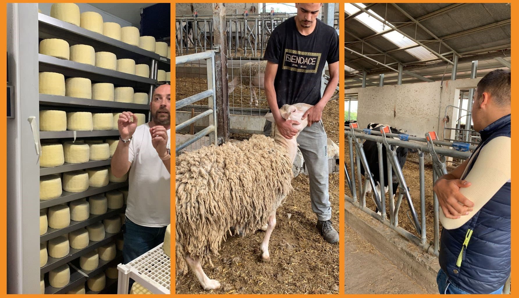 L’Azienda Agricola Fonsi è anche fattoria didattica