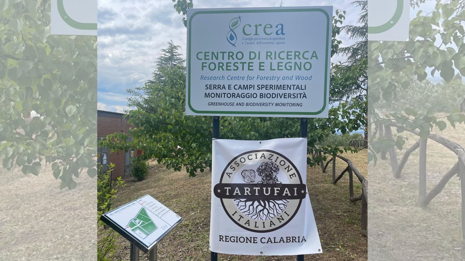 Il tartufo nero del Pollino impreziosisce il paniere calabrese dei prodotti