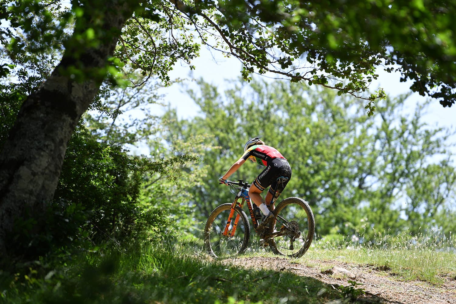 La ciclovia come destinazione turistica: sul Pollino gli stati generali degli operatori