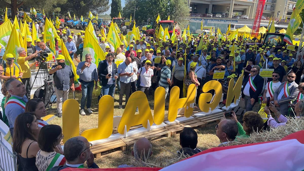 Gallo alla mobilitazione Coldiretti Calabria "basta cinghiali": «La Regione farà la sua parte»