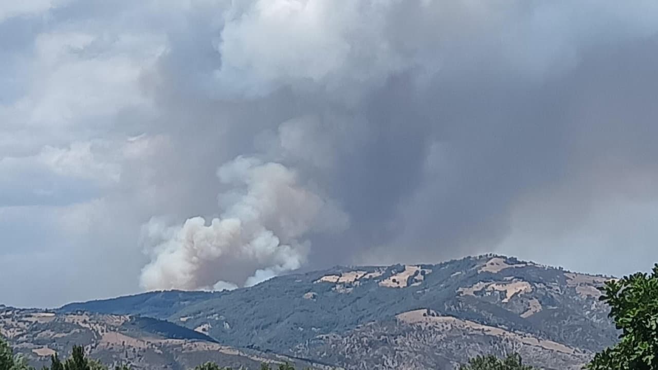 Continua a bruciare il territorio di Albidona: danni incalcolabili