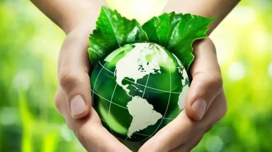 Caloveto si prepara alla giornata ecologica
