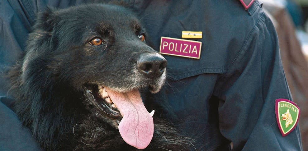 Polizia di Stato, #senontiportononparto. Lo spot contro l'abbandono degli animali