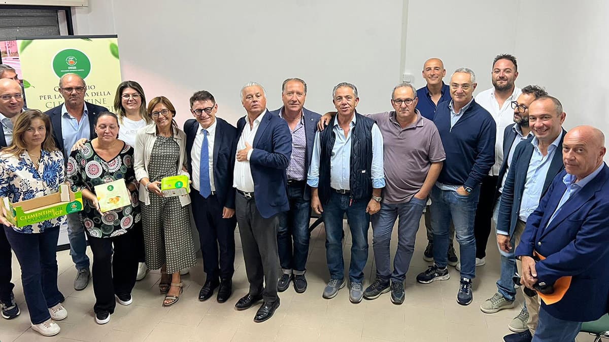 Consorzio Igp Clementine di Calabria: Più rigore nei controlli per tutelare il prodotto