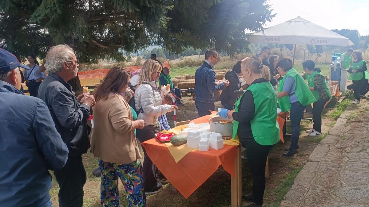 Il "Treno della Sila" torna per la Sagra dei Funghi di Camigliatello