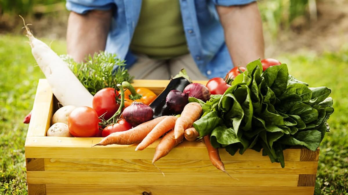 Tutto pronto a Camigliatello per "Calabria a Km Zero": l'evento che celebra l'agricoltura di prossimità