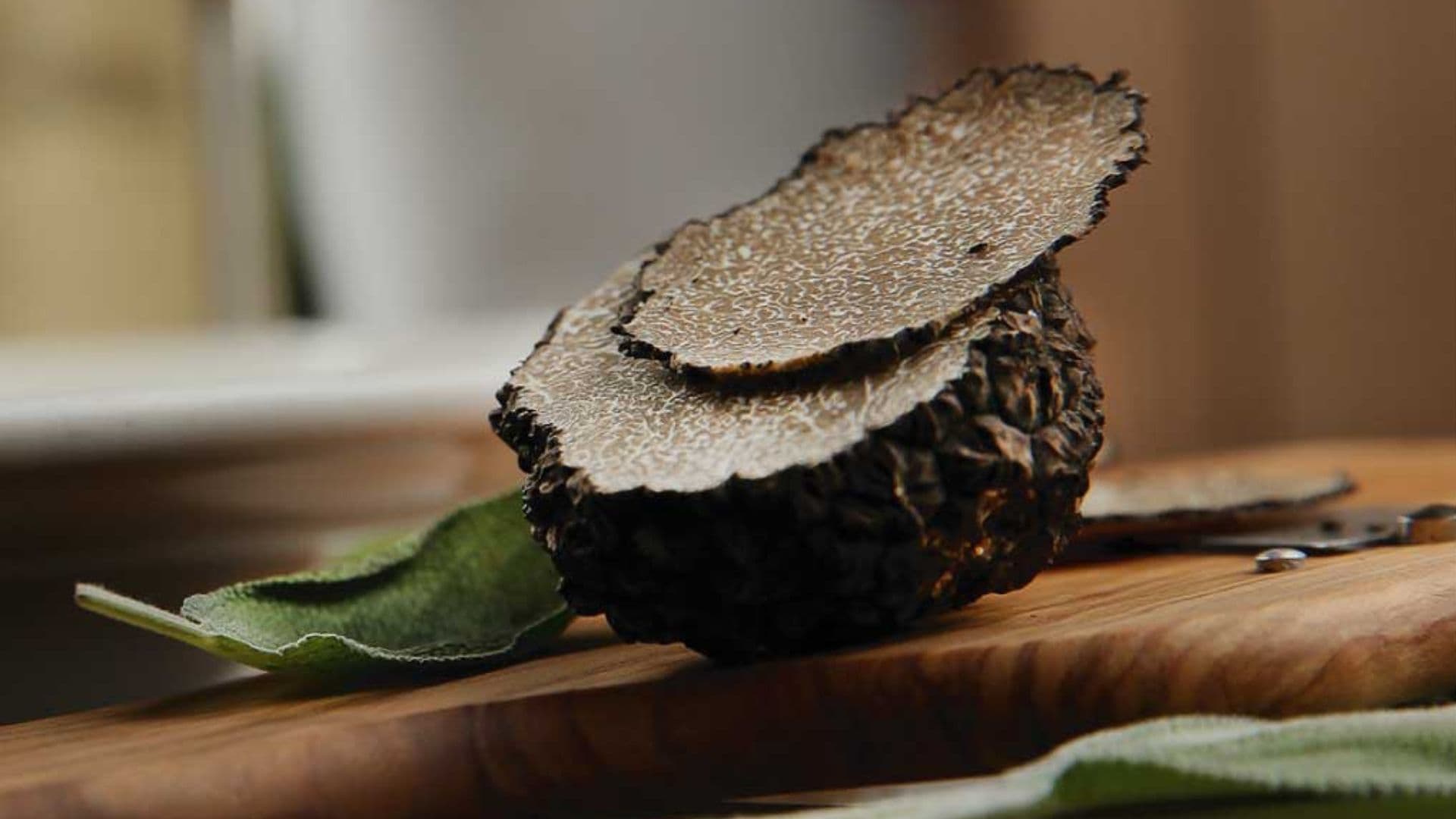 Campotenese, a novembre torna l'appuntamento "Tartufi e Funghi del Pollino"