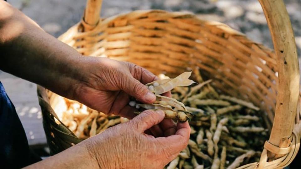 A Cosenza la presentazione dell'evento internazionale sulle leguminose di Slow Food