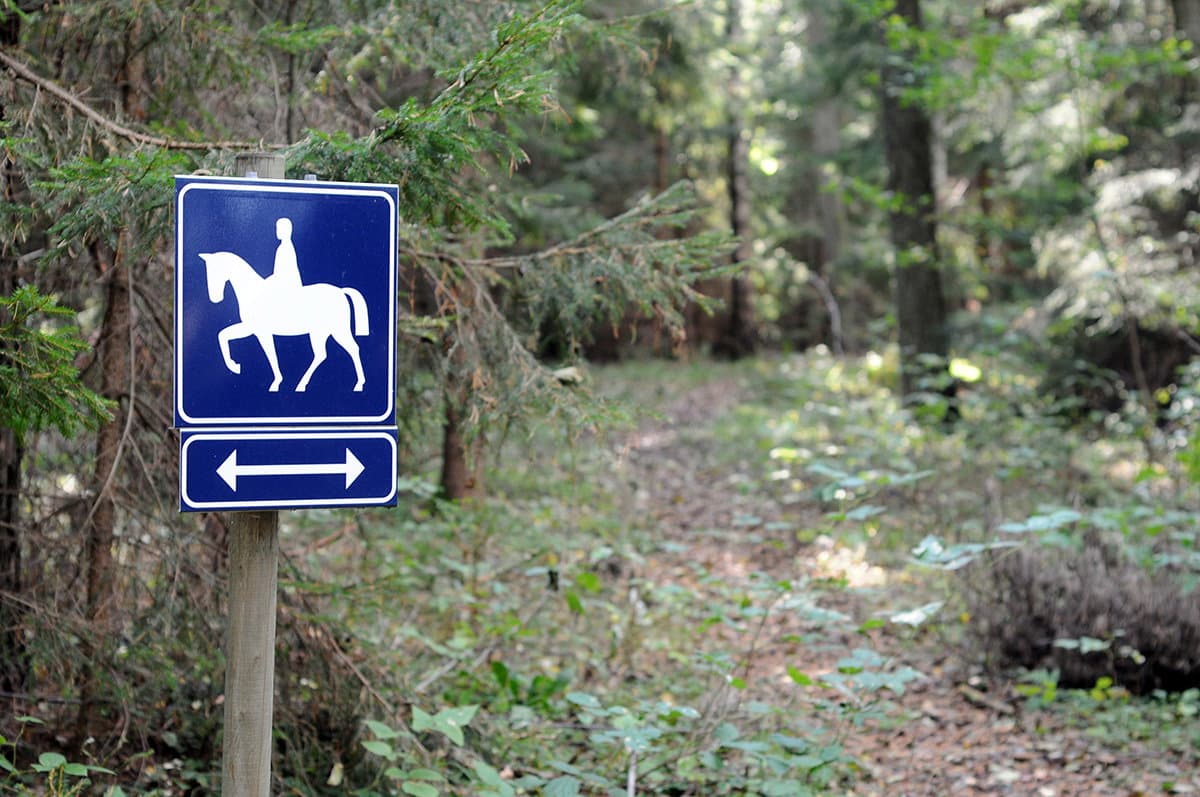 A Civita poste le basi per la grande Ippovia dell'Appennino calabrese
