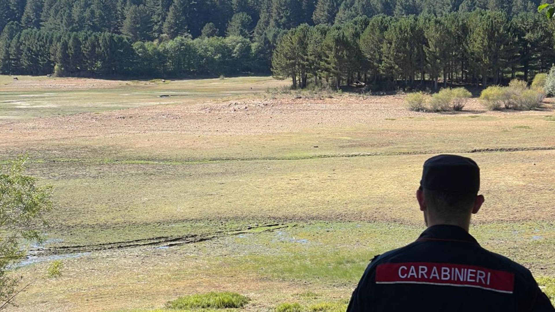 Circolazione aree protette Parco della Sila: fermato un soggetto